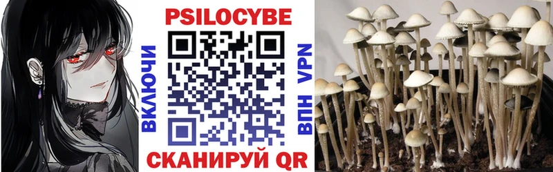 darknet телеграм  Оса  MEGA ССЫЛКА  Псилоцибиновые грибы Cubensis  купить наркотик 