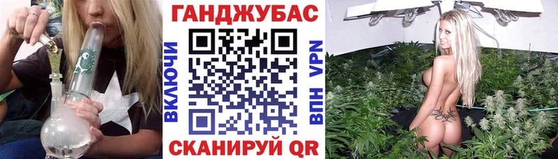 кракен рабочий сайт  Оса  Каннабис сатива 